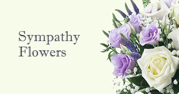 Sympathy Flowers Hampstead